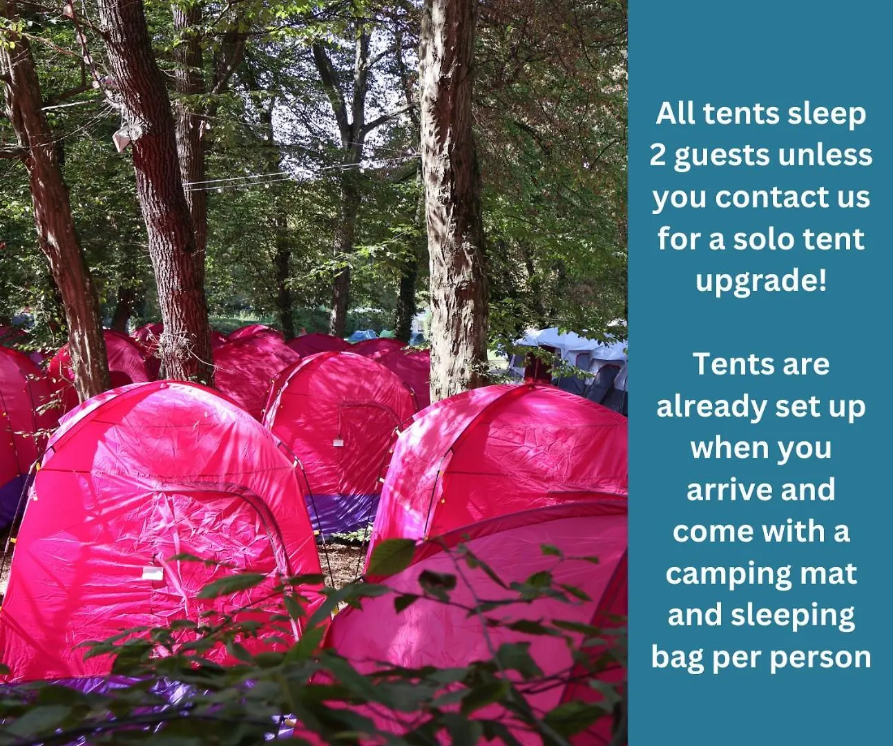 Oktoberfest Inclusive Festival Camping Múnich 0*,